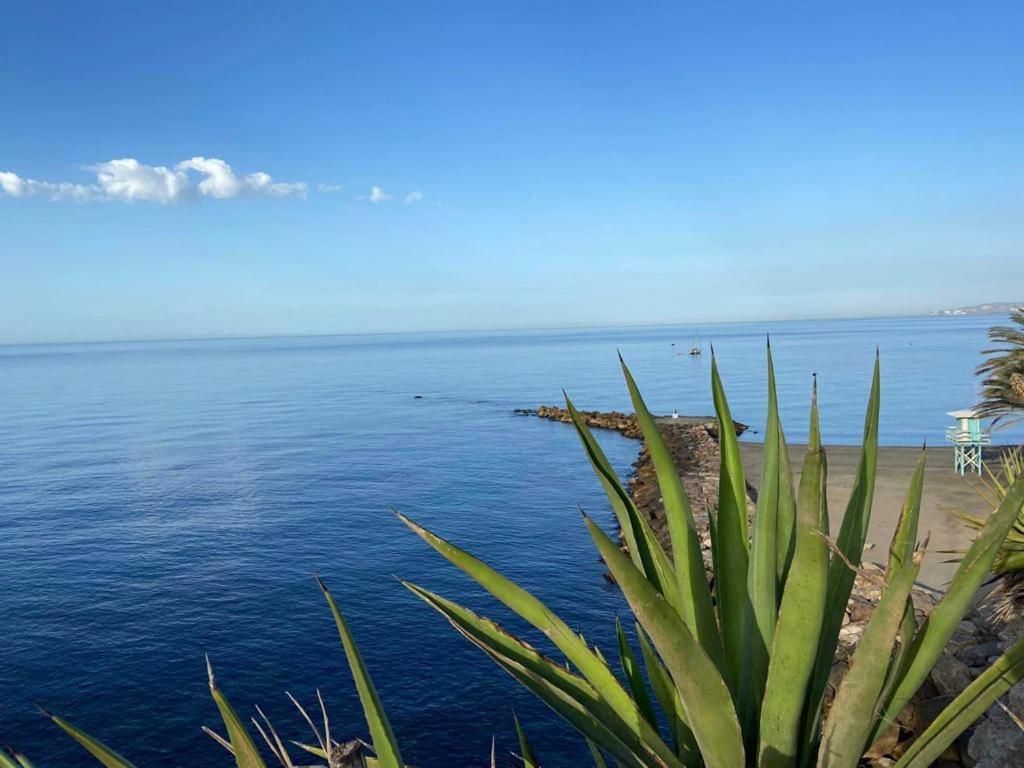 La Casilla Διαμέρισμα Torrenueva  Εξωτερικό φωτογραφία